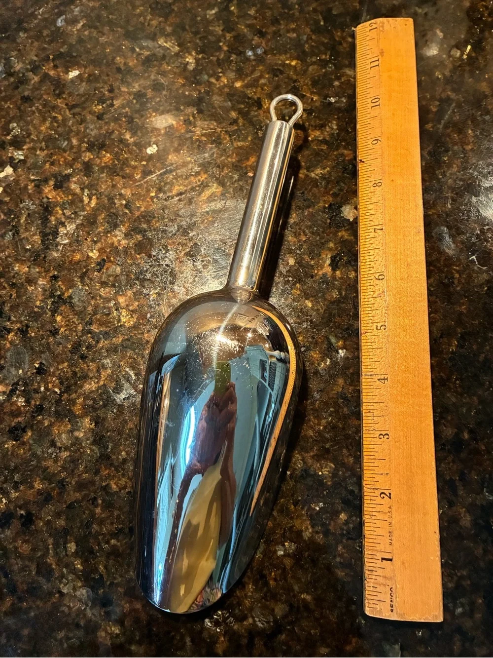 Source Unknown Silvertone Metal Scoop